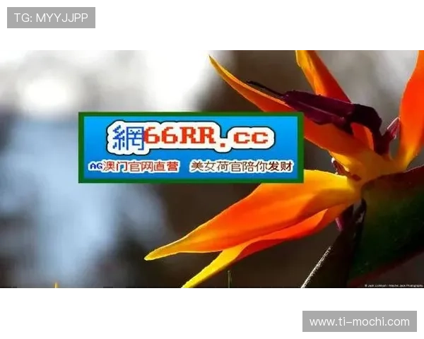 九游会ag网址官方最新更新地址，帮助玩家快速找到稳定安全的登录通道