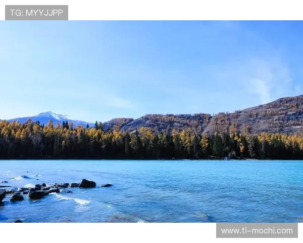 九游手机官网用户反馈与客服支持，解决你的使用疑问与问题