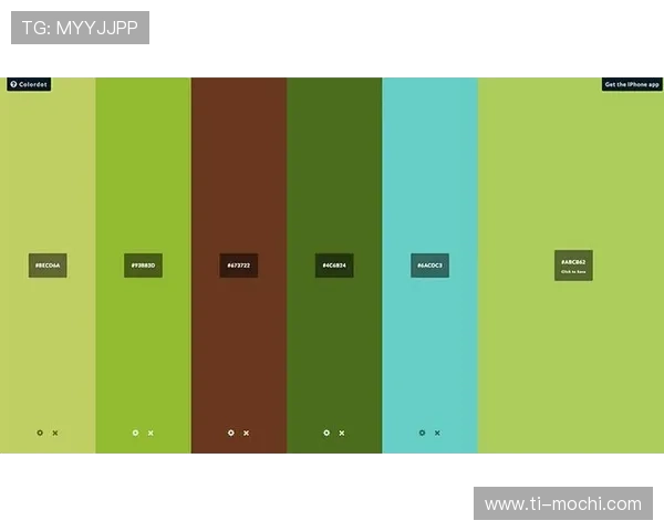 色碟的材质与工艺分析，帮助你挑选高品质的色彩展示工具